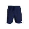 Cardiff Shorts