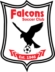Logo Falcons